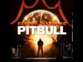 Everybody F**ks Pitbull (Ft. Akon & David Rush)