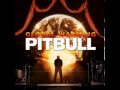 Pitbull - Everybody F**ks