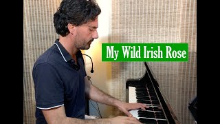 My Wild Irish Rose