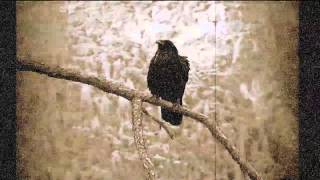 Kampfar - Ravenheart