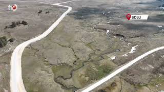 Yaylalar, Baharın Habercisi Çiğdem Çiçekleri İle Renklendi