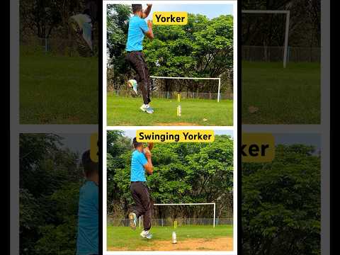 Yorker bowling #cricket #trending #bowling #shorts #viralshorts