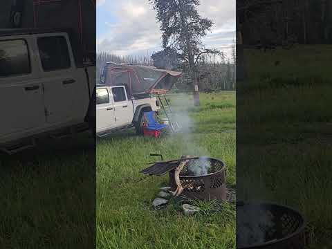 sheilds river camp