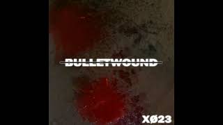 Bulletwound Music Video