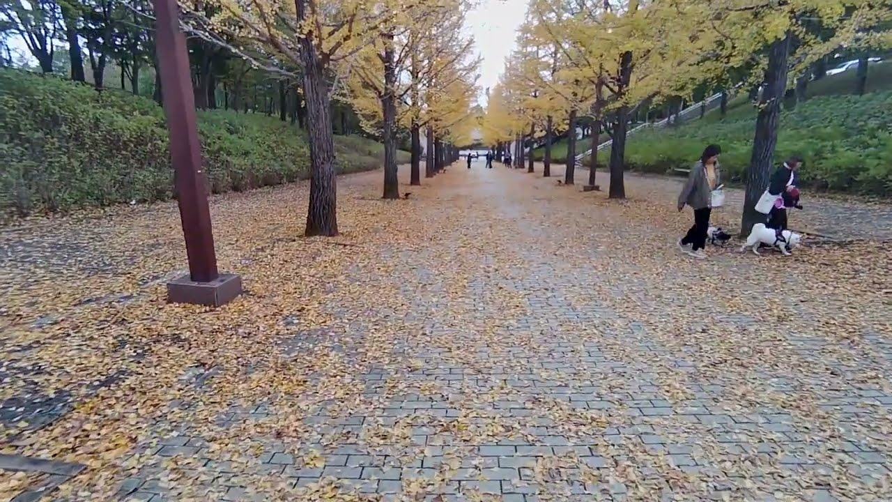 後ろの正面だ～～れ～～