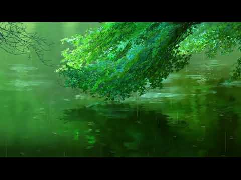 1 Hour Relaxing Garden of Words Soundtrack – Beautiful Anime Music