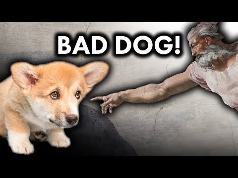 Why the Bible Hates Dogs (or does it?)