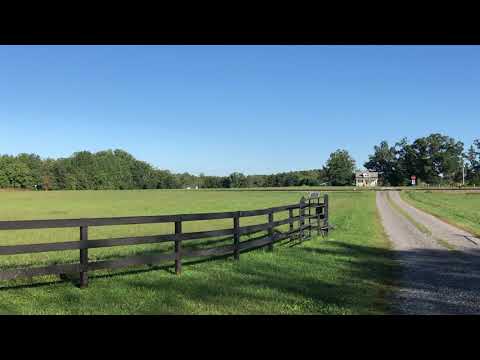 CSX Local D793 on the Dahlgren Branch
