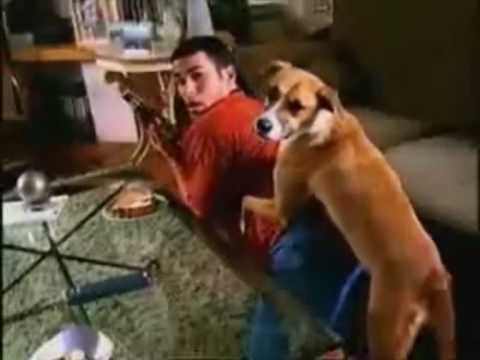 Bud Light Commercial - Bad Dog