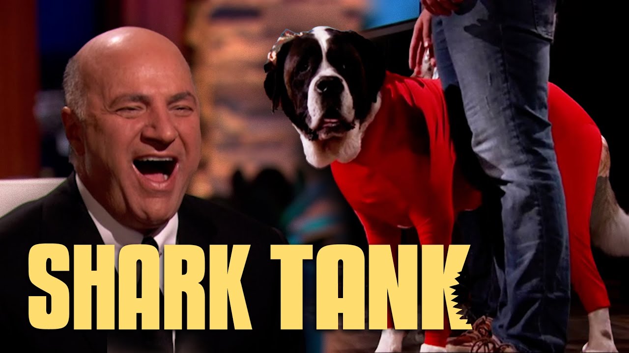 The Sharks COMPETE For A Deal With Shed Defender! | Shark Tank US | Shark Tank Global