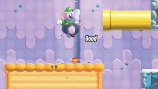 Up n Down with Puffy Lifts All Purple Coins,Wonder Seeds 100% Walkthrough! *Supe