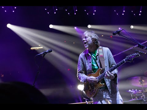 Llama - Phish