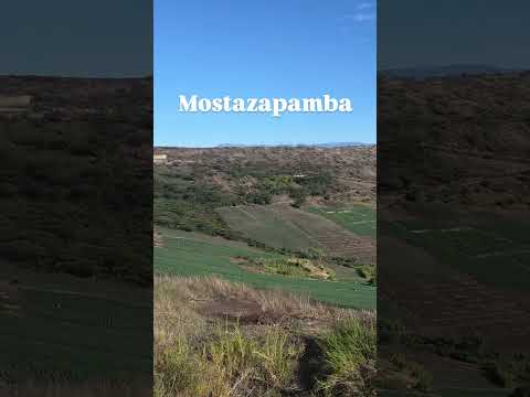 Mostazapamba #Saraguro #Loja