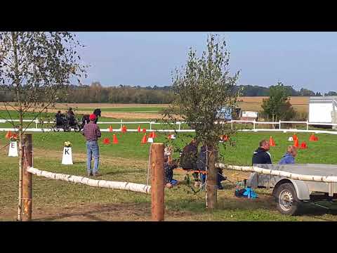 Hindernisfahren Kl. A in Tiefenbronn am 24.09.2017 mit Etsje