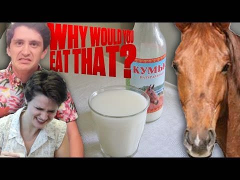 Fermented Mare Milk aka Kumis - Why Would You Eat That