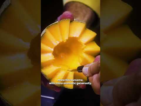 Why choose seasonal produce? 🤔 | Ask the Expert 👨‍🍳