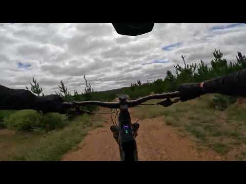 Margaret River MTB Trails - Pineocchio November 2025