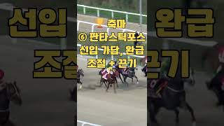 25년 11월 23일 부경6경주 1400미터 #부경경마#주말경마#일요경마#11월경마