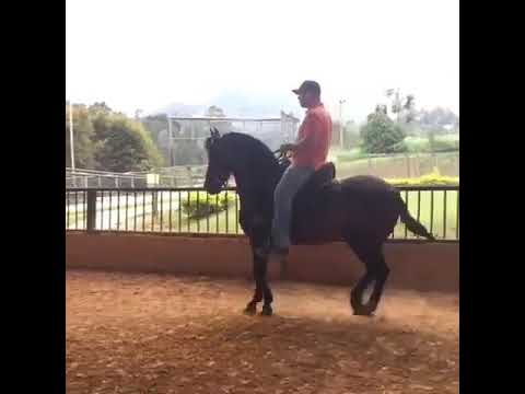 Atrevido De La Piramide FC #CCCTN