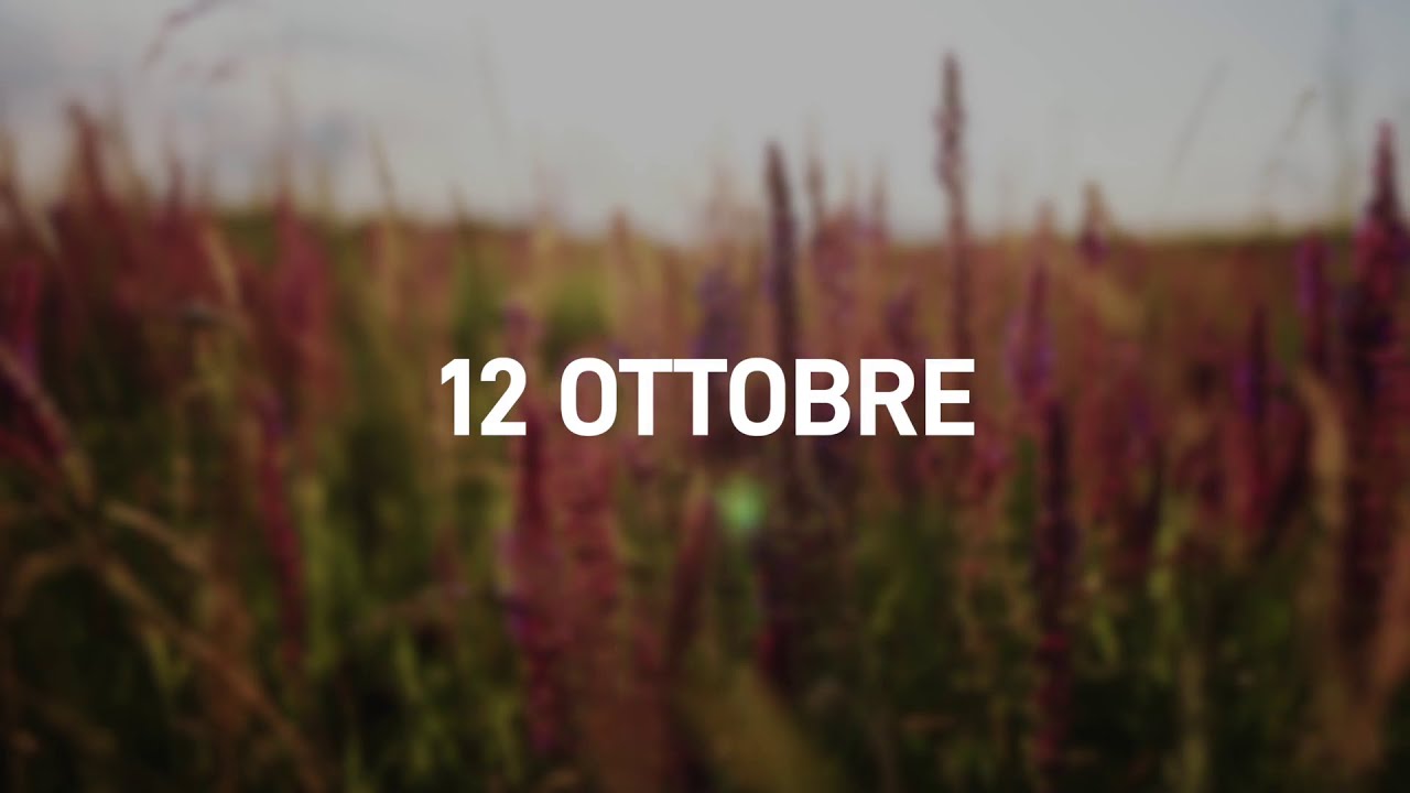 12 Ottobre 2025 | Meditazione Parole di Vita
