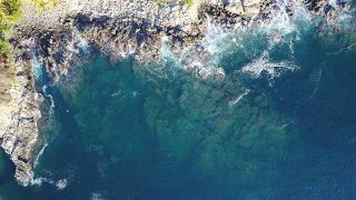 Noise Pollution - Portugal The Man