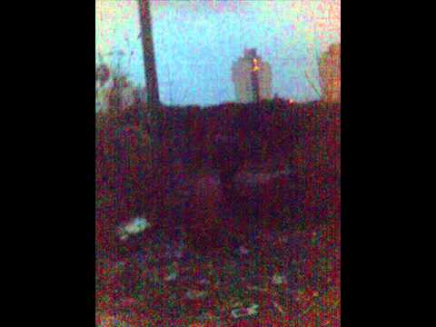 Gibelta na Zaharna fabrika