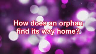 Ashley Monroe — Orphan (Lyrics)
