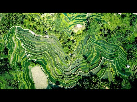 Liquid Drum and Bass Mix 294