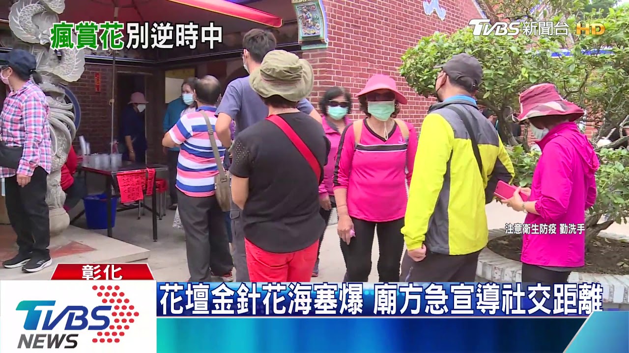花壇金針花海塞爆　廟方急宣導社交距離