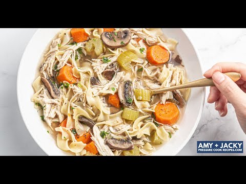 Instant Pot Chicken Noodle Soup