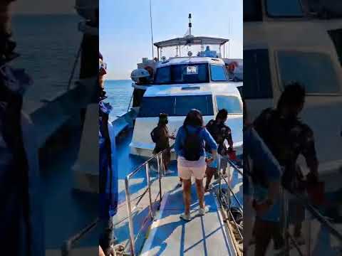 Mini Vlog #1 ✨🌊 Location: Cinque Terre, Italy. 🇮🇹 #shorts #youtubeshorts #travel #travelvlog #viral