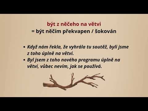 České idiomy 18 | Čeština pro cizince (B2–C1)