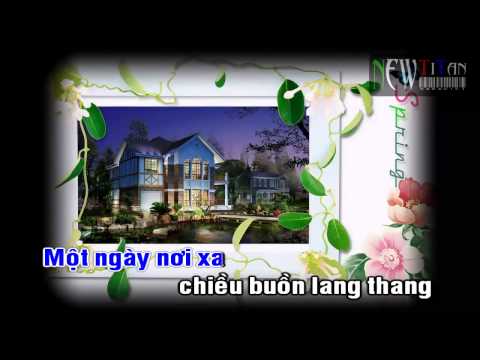 Karaoke Em Trong Mắt Tôi - Nguyễn Đức Cường full beat