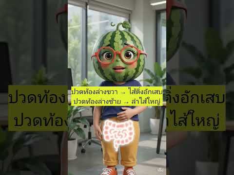 คลิกเพื่อดูคลิปวิดีโอ