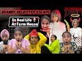Granny - Helicopter Escape In Real Life At Farm House  | RS 1313 VLOGS | Ramneek Singh 1313