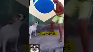Download lagu Primeira vez tentando editar um meme kkk mp3