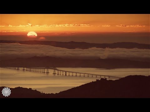 Tropical Bleyage & Insignia - Morning Sun [Video Clip]