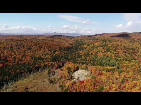 Gates Pond October 2022