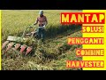 Lebih Murah Mesin Reaper Padi Solusi Pengganti Combine Harvester