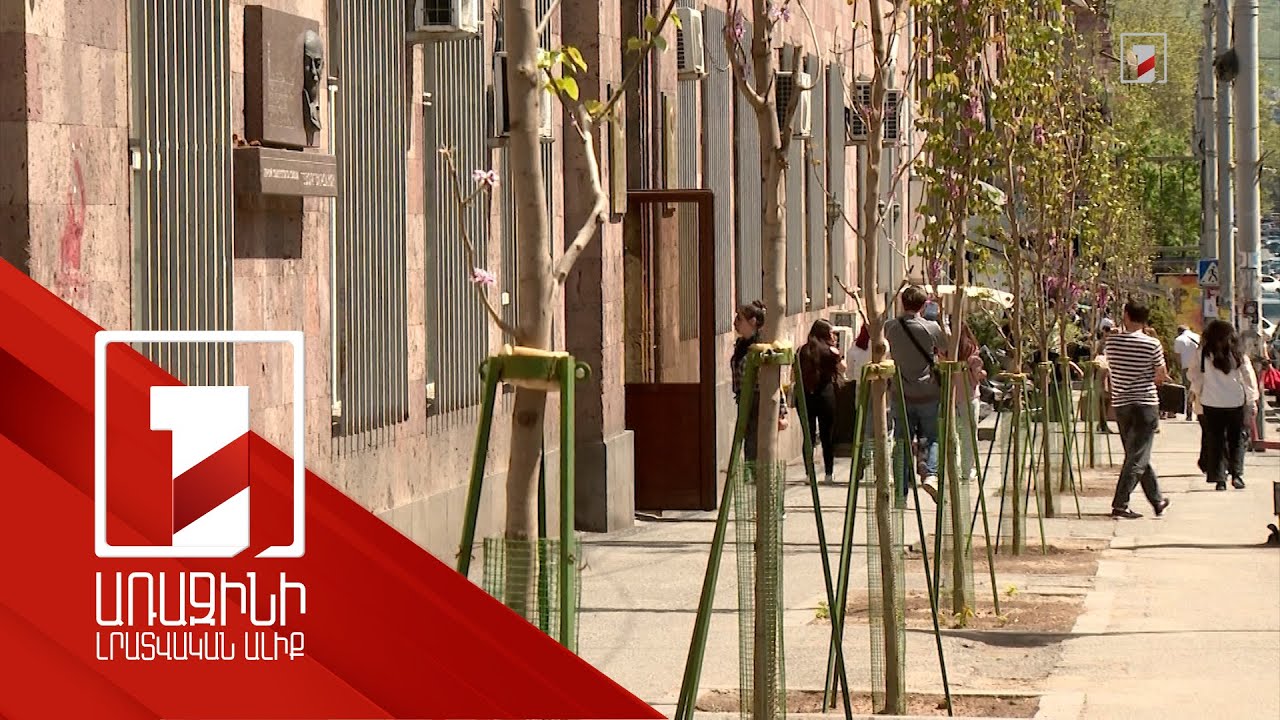 Երևանում ծառերի կպչողականության ցուցանիշը հասել է 94 տոկոսի