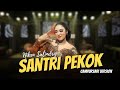Niken Salindry Santri Pekok Campursari Everywhere