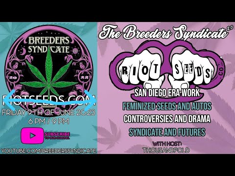 Matthew of Riot Seeds | Controversy-Chaos-Corruption in Cannabis | Syndicate Goals & More S08E666