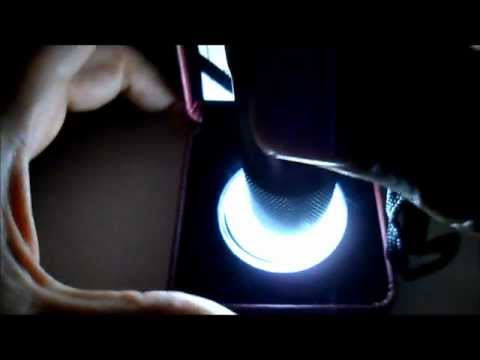 Canadian GOLD Bald Eagle coin plus Glow in the dark test