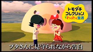 【カガヤキ島のトモダチコレクションわくわく生活】 第１１２話 「ブタさんに見守られながら愛の告白」