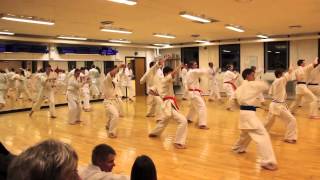 preview picture of video 'Roskilde karate klub. Gradueringe voksne november 2012'