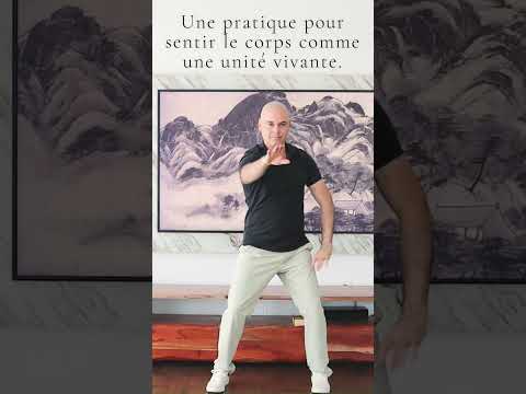 Aperçu — pratique du Tian Gan Nei Gong