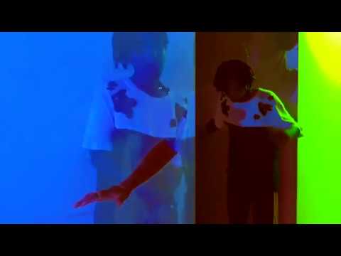 ZendaMan - I Want You Babe(Music Video)