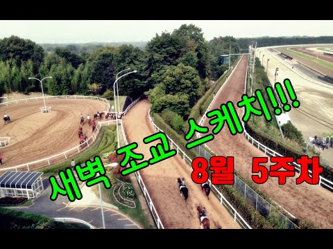 8/25-월요-조찬훈경마- 조교-스케치-