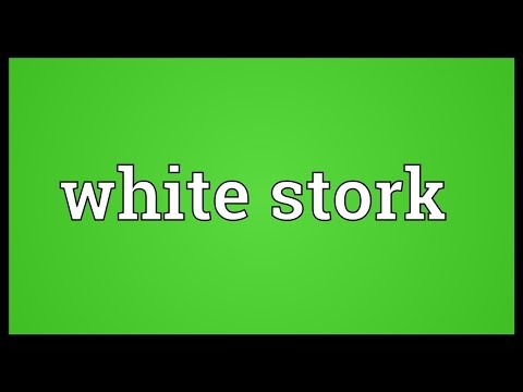 White stork Meaning