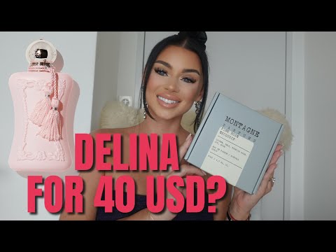 THE PERFECT DUPES ! Delina & Delina Exclusif (cheap!) & others | Mila Le Blanc 2023